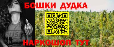 гидропоника Азнакаево