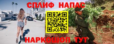 крисы Абакан