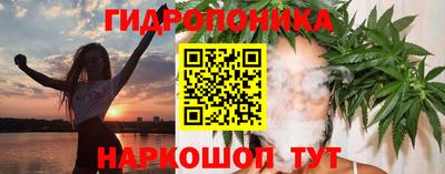 крисы Абакан