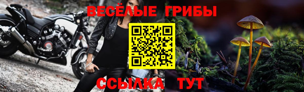 Ялта  Галлюциногенные грибы GOLDEN TEACHER  Вход с VPN 